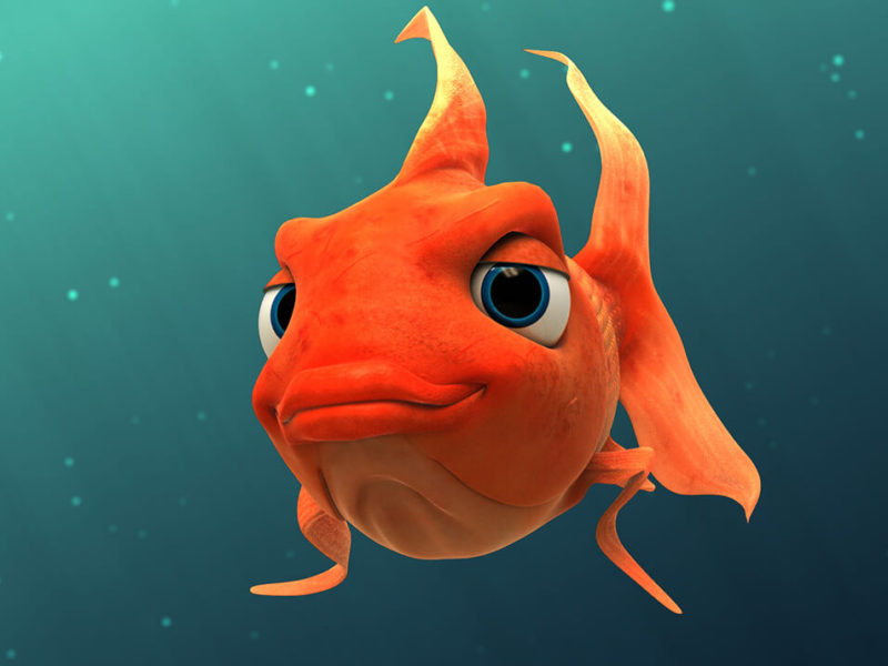 USC Fish